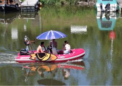 Leben am Ufer und auf der Fulda